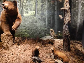Muzeum Historii Naturalnej Krety