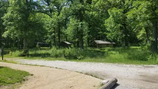 Camp Dan Beard