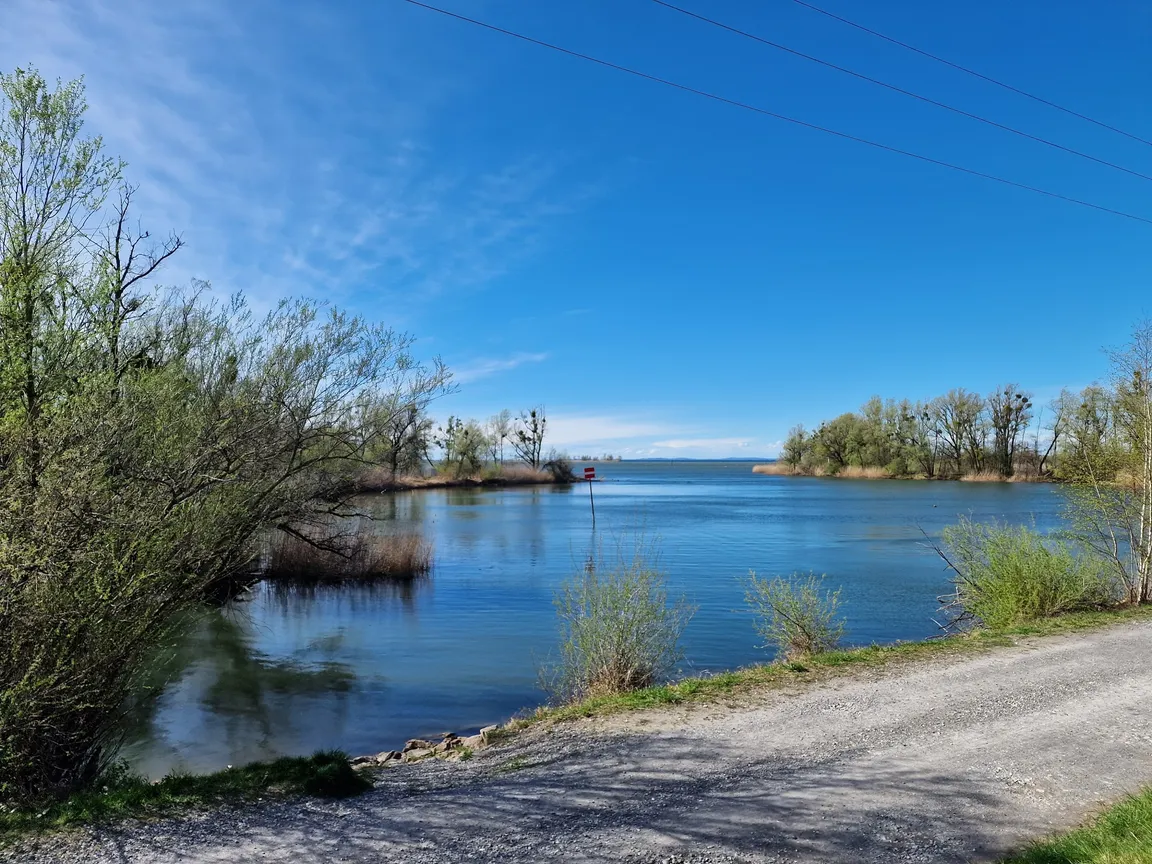 Lagunen-Rundwanderung Rheindelta - Bodensee