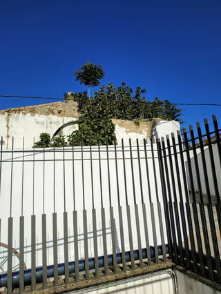 El Tabanco del Duque