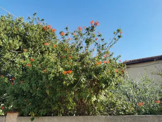 Giardini Pubblici Norma Cossetto