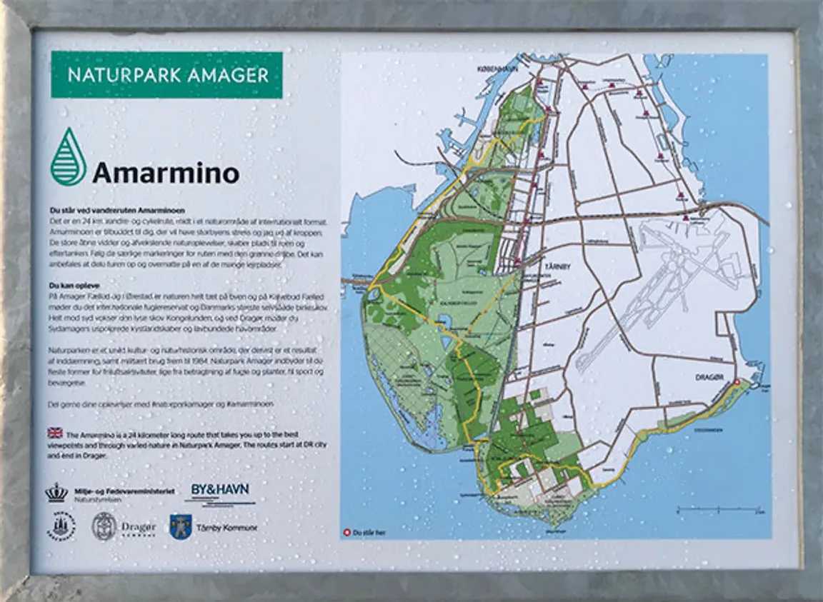Amarminoen