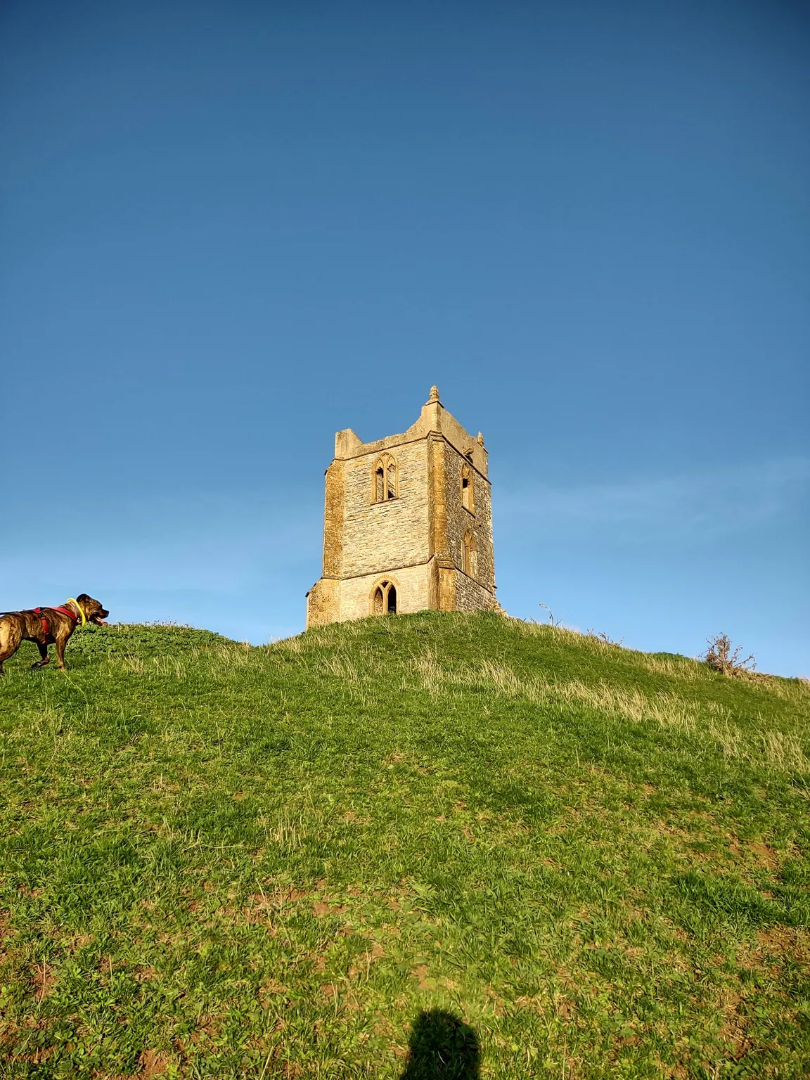 National Trust - Burrow Mump