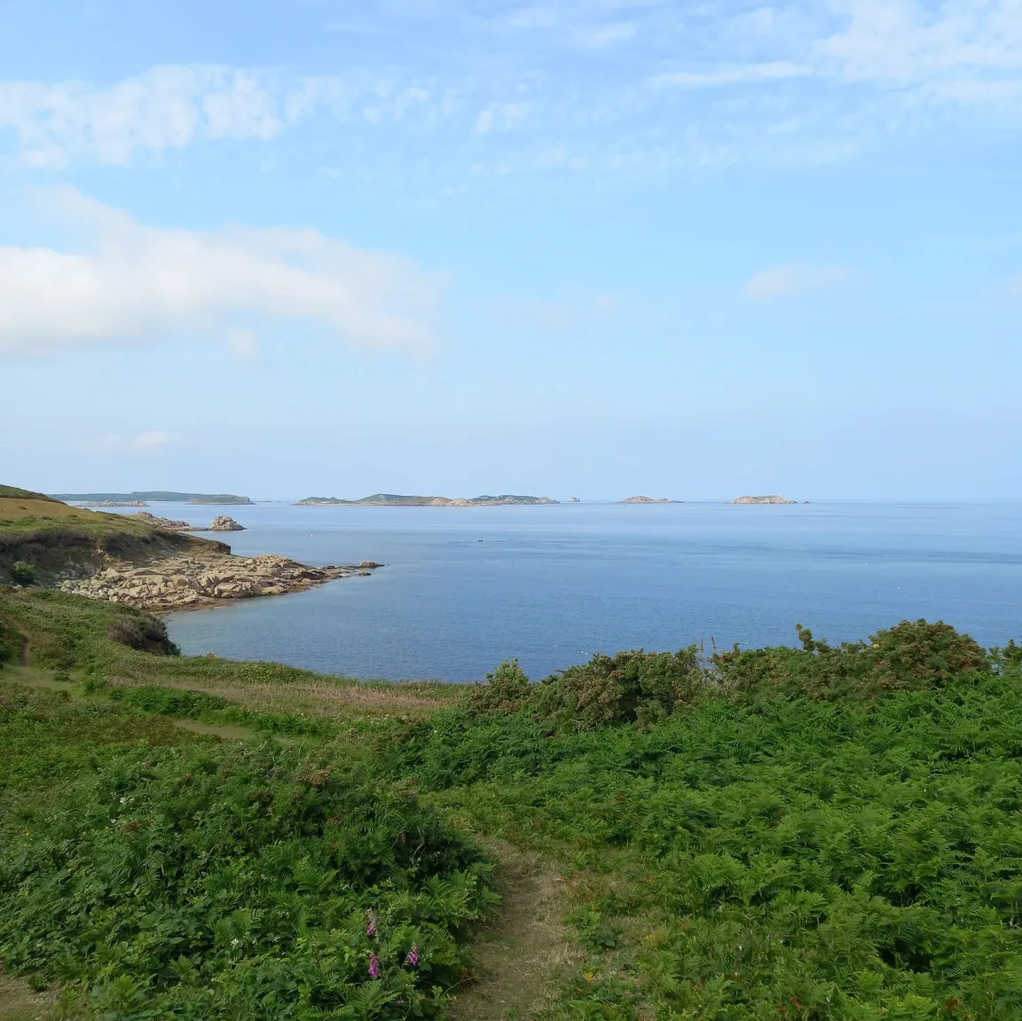 Carreg Dhu Gardens
