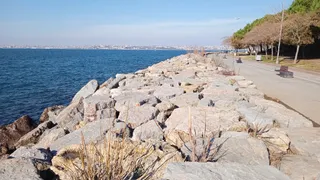 Kadıköy Moda Sahil Parkı ve Yürüyüş Yolu