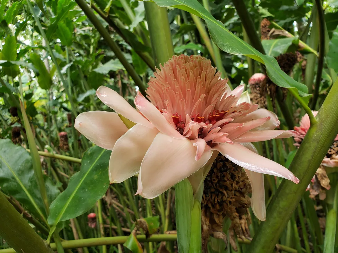 La fortuna Hikes and Trails