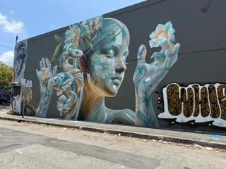 Wynwood Buggies