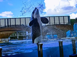 SeaWorld Orlando