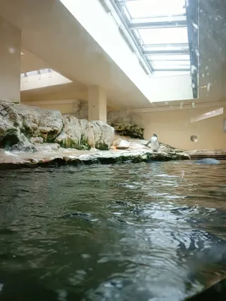 Polarium