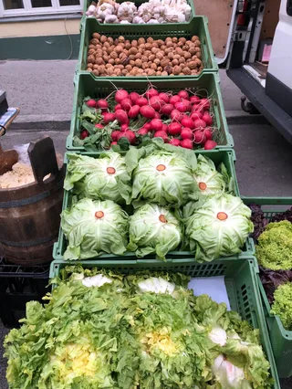 Biofisch am Kutschkermarkt