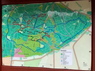 Blåbjerg Klitplantage – MTB
