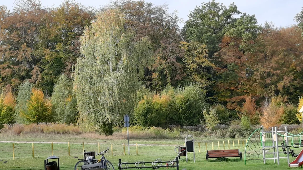 Plaża "Na Świątkach"