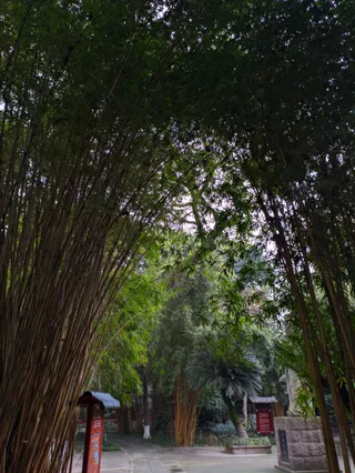 Donghu Park