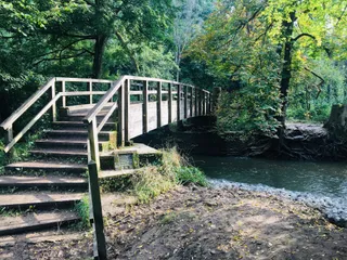 Stepping Stones Walk