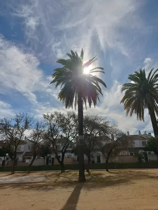 Parque El Retiro