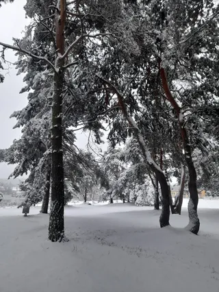 Jura camp kemping nr 244
