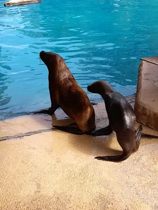 Ogród Zoologiczny w Heidelbergu