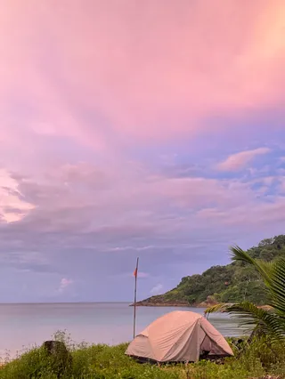 หาดหวายแฉก