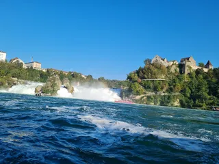 Rhine Falls