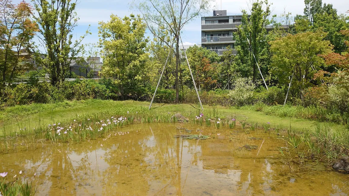 Biotope