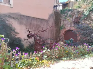 Le jardin de la sorcière et du dragon