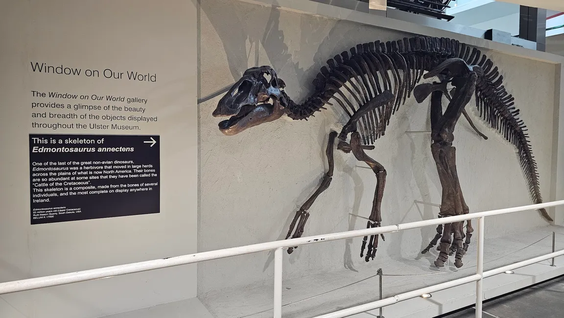 Ulster Museum