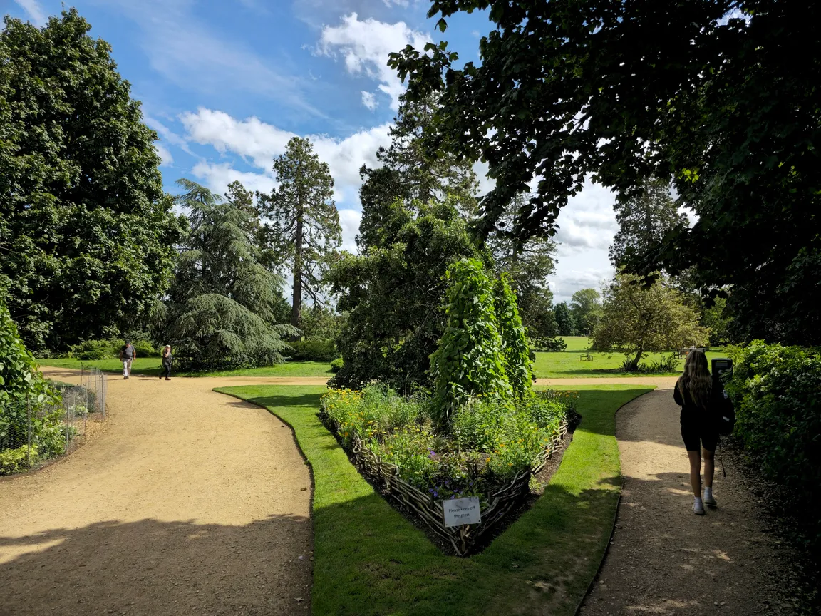 University Parks