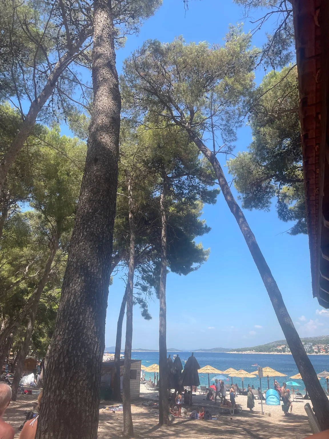 Beach Bar