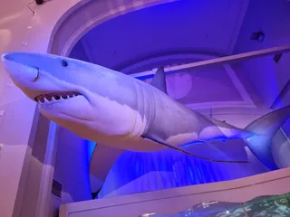 Finnish Museum of Natural History