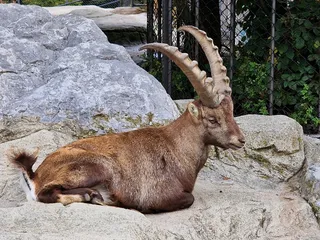 Wildpark Peter und Paul