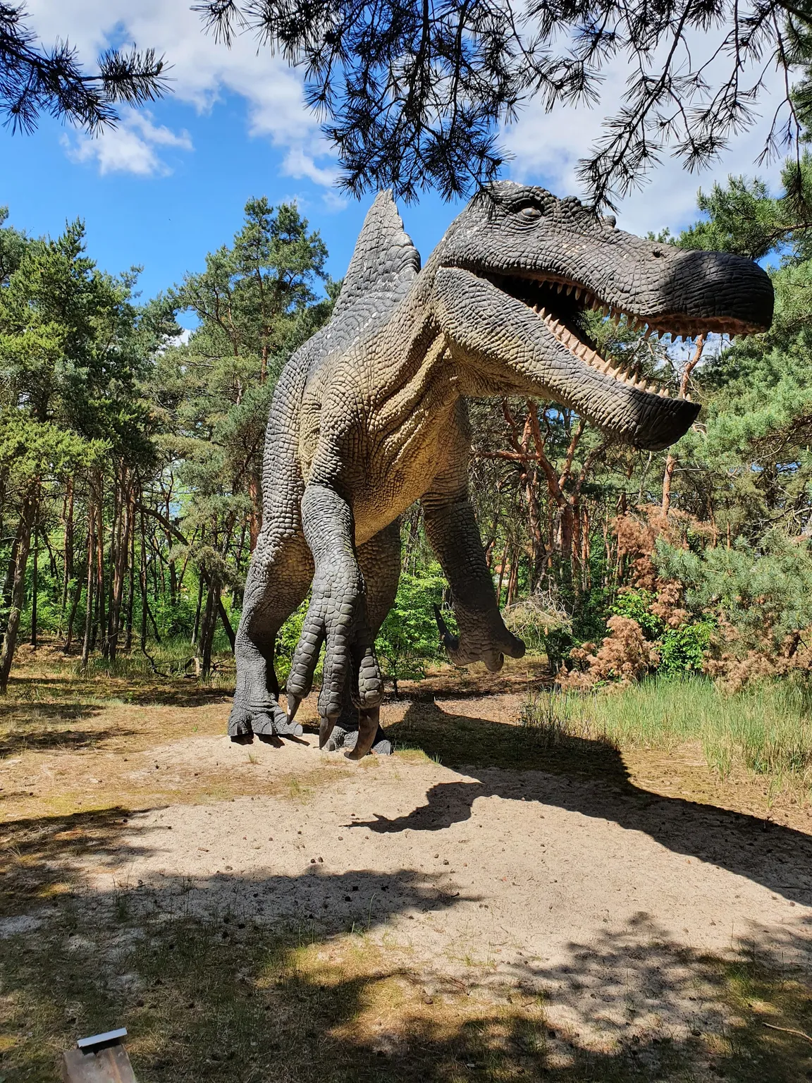 JuraPark Solec Kujawski