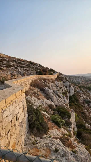 Panoramic View