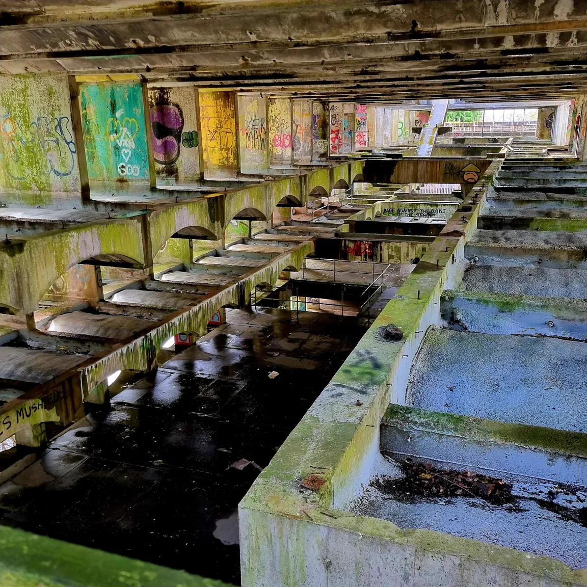 St. Peter’s Seminary