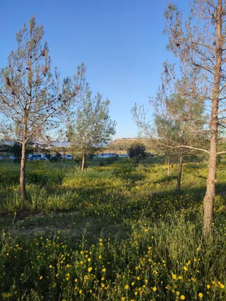 Athalassa National Forest Park