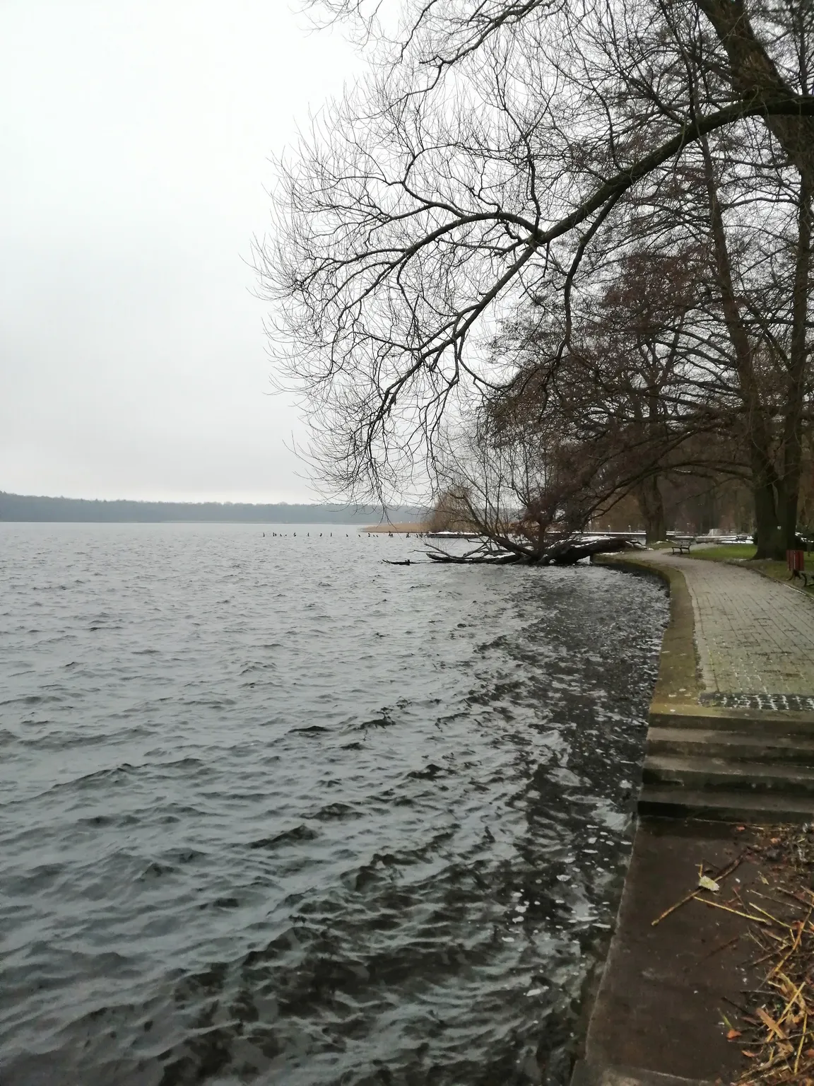 Pomost widokowy-cumowniczy "Centrum"