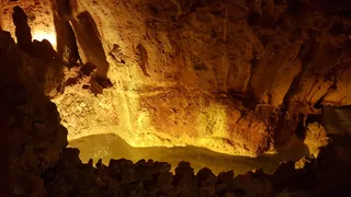 Coin Caves