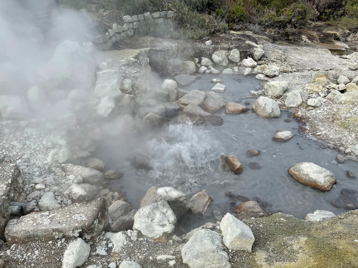 Antigo Pomar das Caldeiras da Lagoa das Furnas