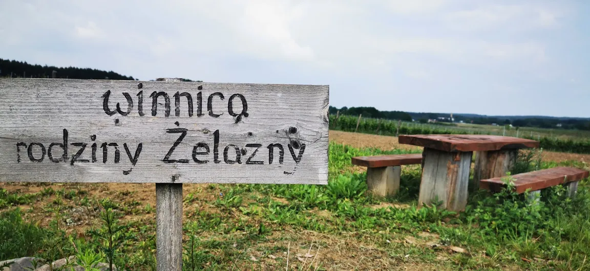 Winnica Żelazny