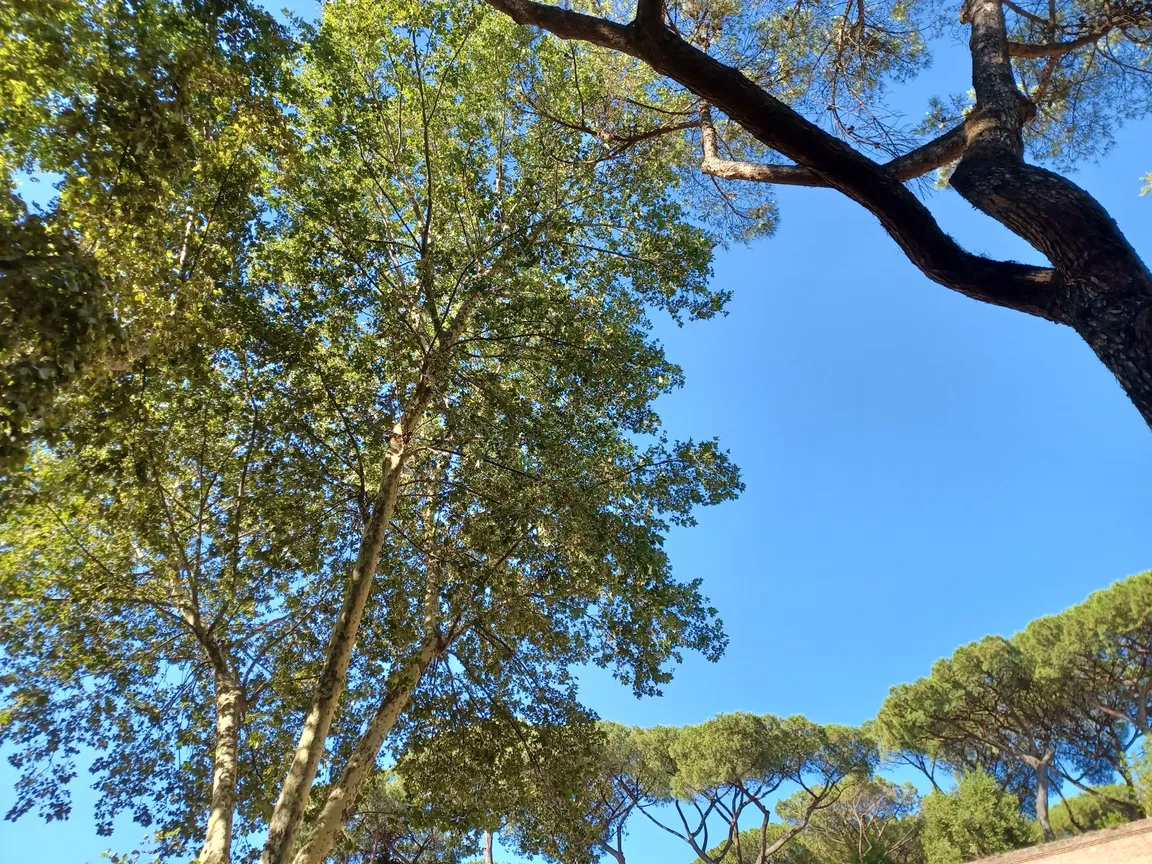 Parco delle Mura Aureliane