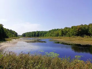 Puszcza Białowieska