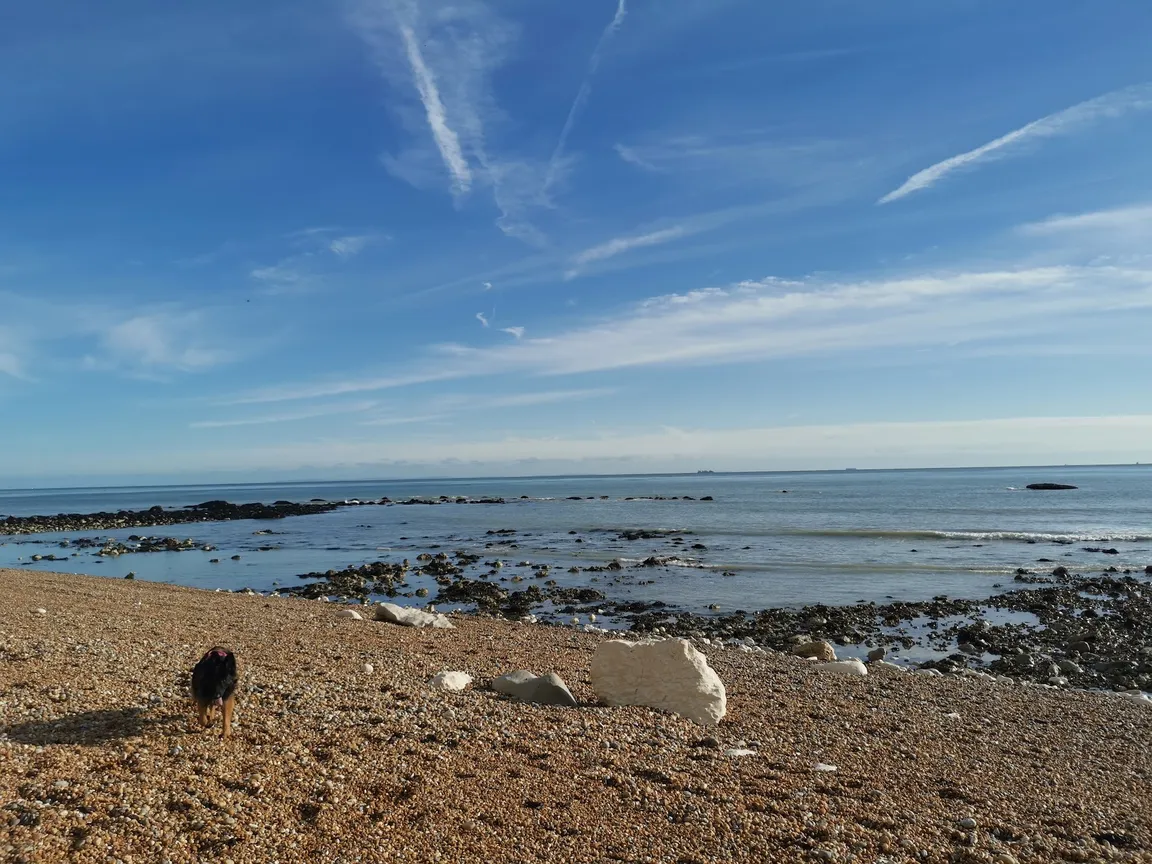 East Cliff and Warren Country Park