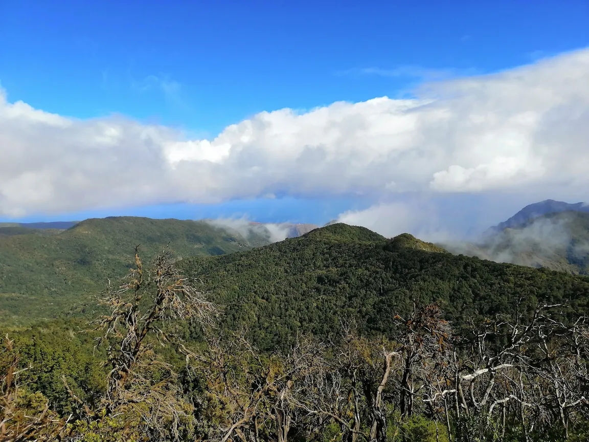 Mirador de Tajaqué