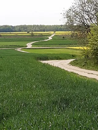 Punkt widokowy Żeglarska