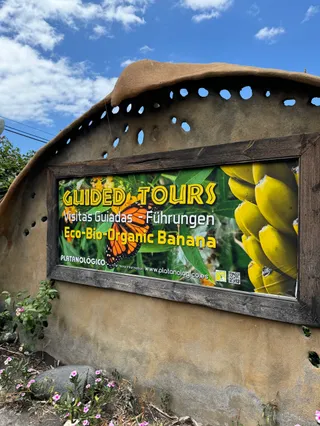Ecofinca Platanológico