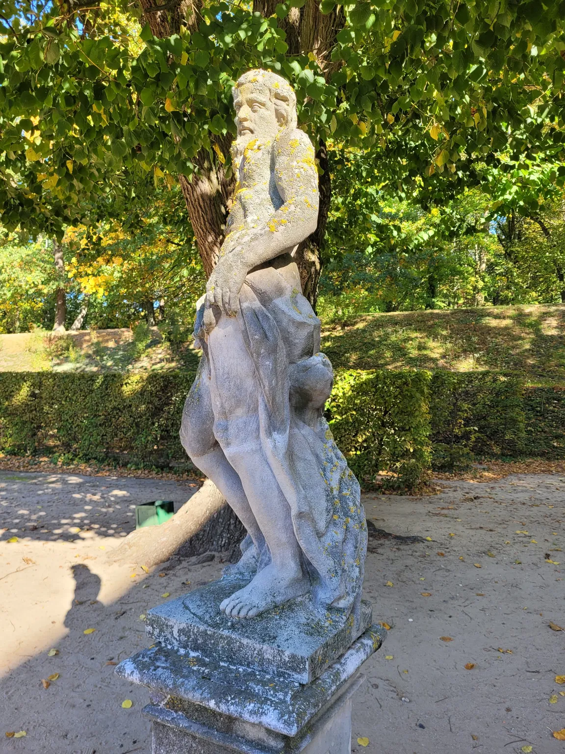 Park pałacowy w Rogalinie