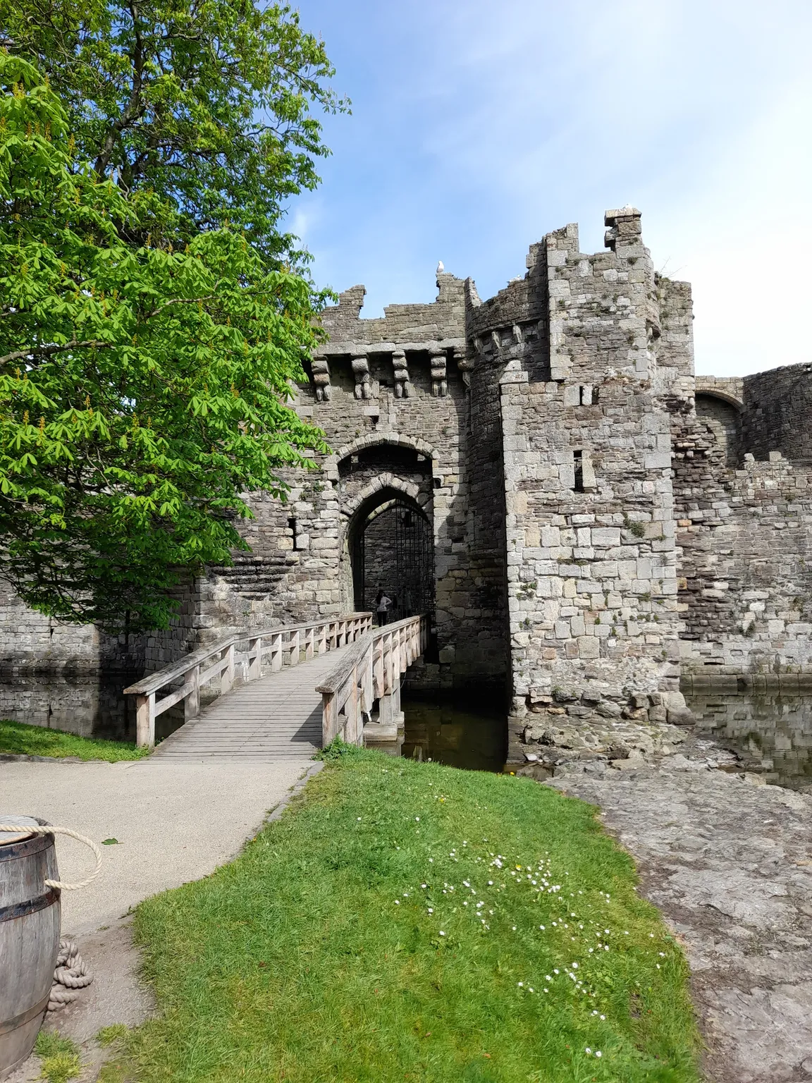 Zamek w Beaumaris