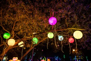 Garden of Lights - Gdynia - Smerfy