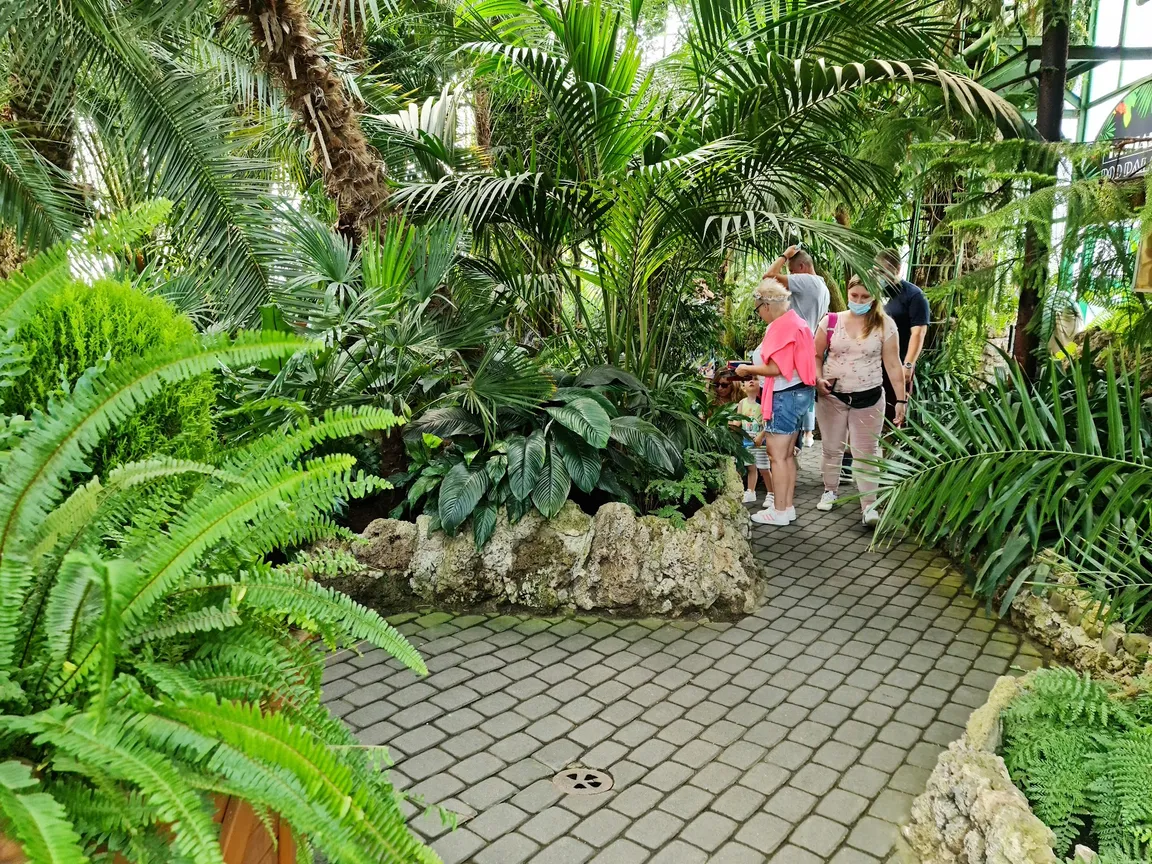 Palmiarnia