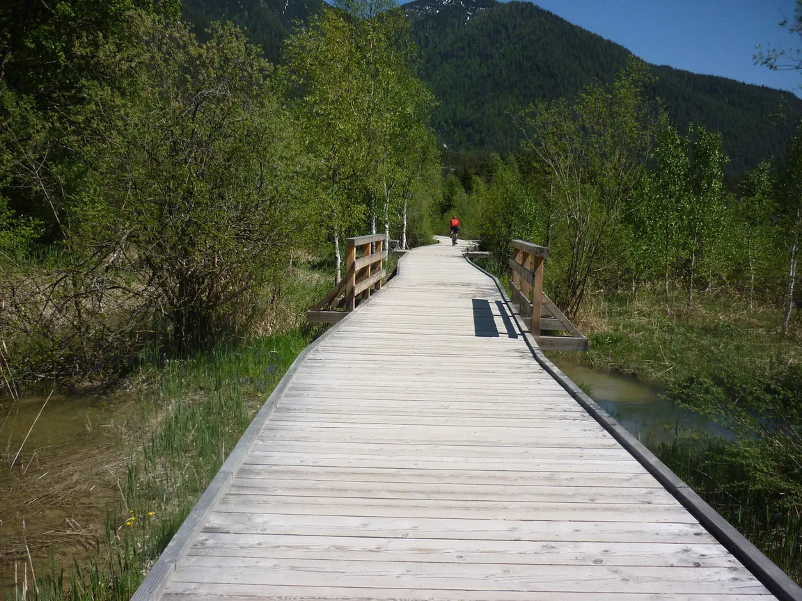 Brunschkopf