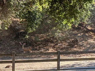 Vermont Canyon Play Area
